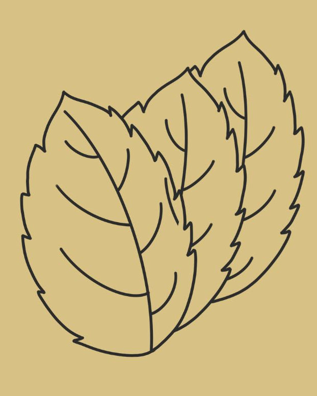 Organic Hair Growth Oil