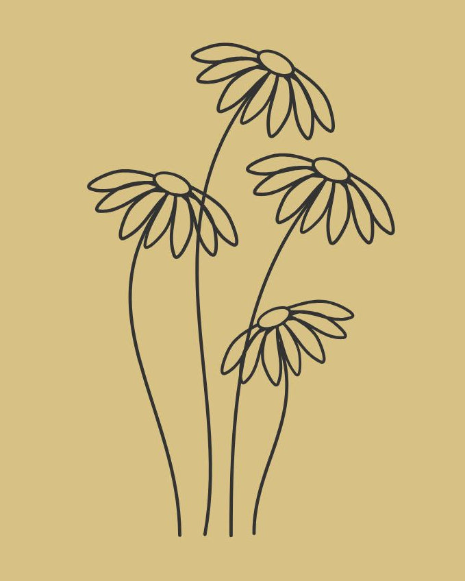 Viral Blonde Hair Growth Oil